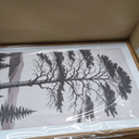 LHIUEM Large Vintage Sketch Tree Framed Wall Art Set,Antique Black and White Wall Decor,Nature Botanical Lake Artwork,Modern Wilderness Forest Art Prints for Living Room,Bedroom- 24"x36"x3