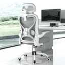 Ergonomic Office Chair for Back & Neck Pain Relief, Virgin Foam Seat, 2D Adjustable Lumbar & 3D Headrest, Tilt & Rock for Relaxation, Ideal for Long Sitting Comfort, Gray/Silver