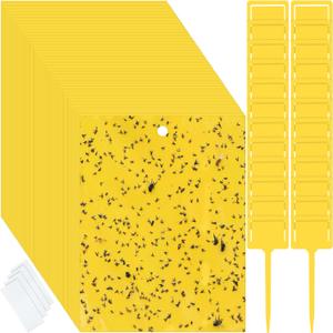 Qualirey 200 Pcs Yellow 6 x 8 Inch Sticky Traps for Gnats Dual Sided Fruit Fly Sticky Traps for Indoor and Outdoor Plant with Twist Ties and Plastic Holders for Fungus Gnats, Bug, Flying Insect