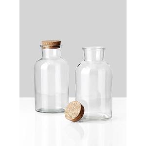 Set of 2 8in Tall Glass Bottle With Cork