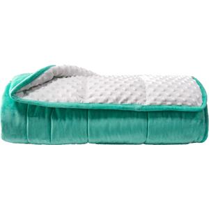ALANSMA Reversible Weighted Blanket for All Season, Luxury Velvet, Warm and Cool, Adult 20Lb Green Weighted Blanket, Enjoy Sleeping Anywhere(Light Green,60"x80" 20lbs)