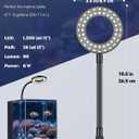 Pawfly Aquarium Light for 1-3 Gallon Saltwater Fish Tanks, Clip On LED Reef Light for Corals, Dimmable USB Aquarium Lamp with Full Spectrum Lighting and Timer (Adapter Not Included)
