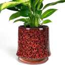 11 Inch Ceramic Planter Pot with Saucer Drainage Leak-Proof Mesh,Flower Pots for Lavender with Gardening Gloves,Ceramic Planter for Orchid(Spotted Red)
