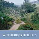 Wuthering Heights (Norton Critical Editions) (Paperback)