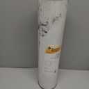 Pentair Pentek RFFE20-BB Big Blue Water Filter, 20-Inch, Whole House Radial Flow Iron Reduction Replacement Cartridge, 20" x 4.5", White (Pack of 1)