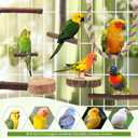 8PCS Natural Wood Bird Perches, Parrot Perch Stand & Chewing Toy with Multi-Branch & Rope, Cage Accessories for Parakeets, Conures, Cockatiels, Lovebirds, Budgies