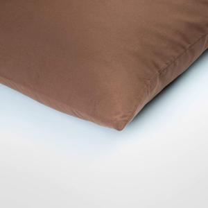 2 Pillowcases 25x25