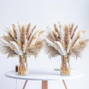 300PCS Natural Dried Pampas Grass Boho Home Decor Bouquet Phragmites Dried Flowers Bouquet for Wedding Floral Arrangements Home Decorations (300PCS)