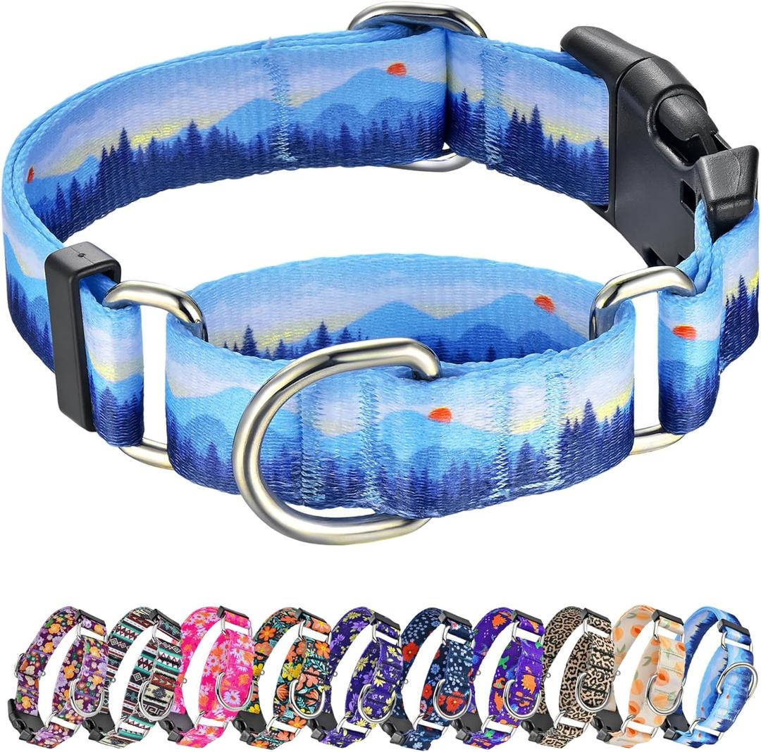 Hikiko Martingale Collar for Dogs Soft Durable Dog Collar for  Boy and Male Dogs No Pull No Slip Safety Buckle Dog Collars (Hill, Small)