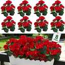 8 Bundles Artificial Geraniums Flowers for Outdoors Summer Mother's Day Derby Day Decor, Fake Cemetery Flowers Silk Red Flower UV Resistant No Fade Faux Plant for Porch Garden Home Planter Patio Decor