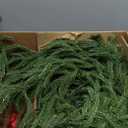 Norfolk Pine Garlands with Light Pre-Lit Christmas Garland,Dense Norfolk Pine Real Touch Garlandfor Table, Mantle, Staires, Wall, Premium Indoor/Outdoor Christmas Decorations (2, 6ft)