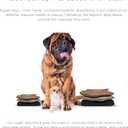 Pet Parents Washable Belly Bands for Dogs (3pack) + Extendrs Durable Dog Diapers - Premium Male Dog Diapers & Wraps (X-Small, Black)