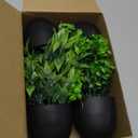 Der Rose Fake Plants 4 Packs Artificial Plants Small Faux Plants Black Bathroom Accessories for Halloween Bathroom Home Kitchen Coffee Table Office Desk Decor Indoor (Green)