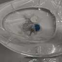 Slow Closing Toilet Seat Compatible with Toto Drake and Eco Drake Elongated Toilets Replaces Parts SS114, Non-slip Bumpers, Cotton White