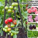 AlisisFores 4 Ft Tower Obelisk Trellis for Potted Climbing Plants, Garden Trellis Rustproof Plastic Coated Metal Plant Support for Vegetables, Vines and Rose Bushes