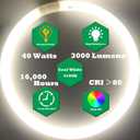 FC16T9/CW 40W and FC12T9/CW 32W Cool White Set, 16 inch T9 40 Watts Circular Bulb & 12 inch 32 Watts Round Fluorescent Light Bulbs, Circline Kitchen and Bath Light Bulb, 4100K, G10q 4 pin Prong