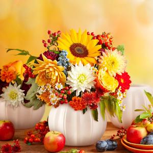 Sieral 3 Pcs Pumpkin Shape Ceramic Vase Fall Flower Vase 5.5 Inch White Ceramic Vase Pumpkin Flower Pot for Fall Thanksgiving Party Home Room Office Farmhouses Decoration