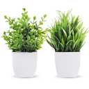 Der Rose 2 Pack Small Fake Plants Mini Artificial Potted Plants for Table Desk Home Bathroom Office Decor