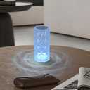 Finktonglan 6.3-Inch Rechargeable Crystal Table Lamp, Remote and Touch