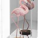 NONEMEY Mirrored Clear Acrylic Display Case Assemble Countertop Box Stand Organizer Dustproof Protection Showcase Acrylic Display Stands for Collectibles (10614inch251535cm), With Glove