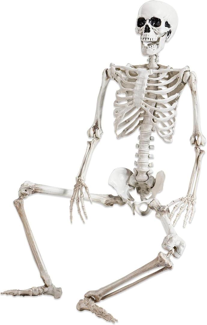 36" Halloween Skeleton Decorations,Human Bones for Halloween Party with Movable Joints, for Haunted Houses, Front Lawn, Graveyard Props