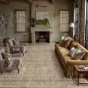 HUGEAR Brown 8x10 Neutral Area Rugs for Living Room