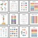 Summit Designs Educational Posters For Toddlers & Kids - Classroom And Home Learning Wall Art, Educational Posters For Elementary School, Kindergarten, Toddler Charts And, Kids