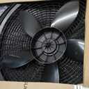 Lasko Oscillating Cyclone Pedestal Fan, Adjustable Height, Timer, Remote Control, 3 Speeds, for Bedroom, Living Room, Home Office, 18", Black, 1843