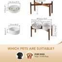 Havniva Elevated Slow Feeder Dog Bowls, 3.2 Cups/9.5 inch Slow Feeders + 8.2 inch Ceramic Dog Food & Water Bowls Set with Acacia Wood Stand Puzzle Bowls for Fast Eater, Large Dogs Anti-Choking