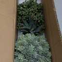 Winlyn 3 Pcs Assorted Small Potted Succulent Plants Artificial Aloe Hanging Succulent in White Geometric Concrete Ceramic Pots for Gift Party Wedding Favors Windowsill Table Shelf Indoor Outdoor Decor