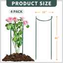 TCBWFY 4-Pack Plant Supports,16" Wx46 H Half Round Plant Support Stakes,6mm Thick Heavy-Duty Metal Peony Cage,Tall Garden Plant Support for Peony,Tomato,Hydrangea,Rose,Outdoor Flower Plant Stakes