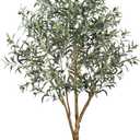 6FT Olive Trees Artificial Indoor - Realistic Artificial Olive Tree Indoor with White Planter, Large Full Fake Plants with Lifelike Fruits and Leaves for Modern Home Office Living Room Decor