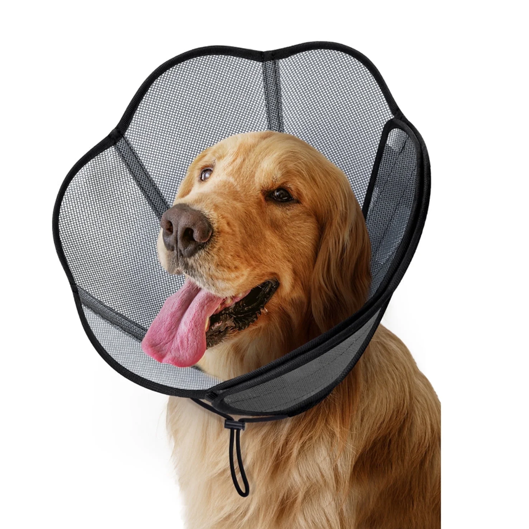 MIDOG Adjustable PVC Resin Elizabethan Collar for Dogs & Cats, Gray, Extra Large