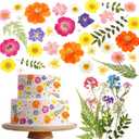 96 Pcs Natural Dried Pressed Flowers for Cake Topper Decorating Cupcake Toppers Cocktails Resin Jewelry Making DIY Art Crafts (Multi Color)