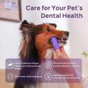 HICC PET Dog Toothbrush, Anti-Slip Dog Tooth Brushing Kit, Dog Finger Toothbrush for Plaque and Tartar Cleaning, Dog Teeth Cleaning for Small & Large Pets, Safer & Softer Liquid Silicone, 2-Pack