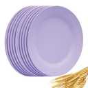 NA Set of 10 Large Dinner Plates 11 Inch, Reusable Wheat Straw Dessert Dishes, Round Pasta Salad Serving Plate, Unbreakable Fiber Tableware for Party Steak Pizza (Purple)
