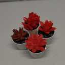 Uguisu Artificial Potted Plant, Simulated Gem Flower, Lotus Flower, Spring Artificial Succulent Plant, Small Artificial Plant, Spring Artificial Fake Plant, Office Home Wall Decoration (4/Red)