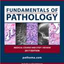 Fundamentals of Pathology by Hussain A,sattar (pathoma 2017 paperback &videos)