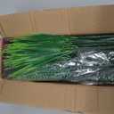 20PCS Fake Flowers UV Resistant Artificial Plants & Faux Shrubs - Outdoor Plastic Greenery Stems for Garden Porch, Window Box Planter, Home Decor(Pot Not Included)