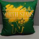 Northwest Pillow (18 x 18-Inch, Vintage Burst)