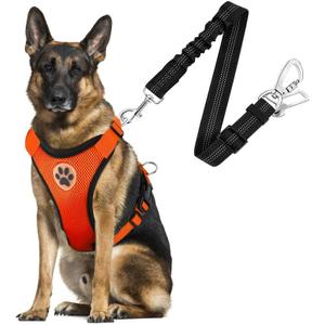 SlowTon Dog Seat Belt Harness for Car, Dog Car Harness Adjustable Mesh Breathable & Dog Seatbelt Safety Tether with Elastic Bungee for Small Medium Large Pets(Orange, Double Clip, Large)