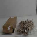 75 Pcs Halloween Glitter Branches 3 Styles Artificial Christmas Picks Berries Stems Pine Needles Floral Twig Spray for Xmas Tree Ornaments DIY Wreath Garland (Champagne Gold)
