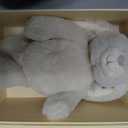 HELLO 2 KIDS Praise Bunny Christian Baby Gift Set  11 Musical Plush with 3 Bible Songs, Blessing Book, Keepsake Box & Stickers  Christmas, Baptism, Christening, Dedication Gifts for Boys and Girls