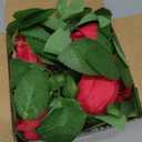 Felice Arts 2 Pack Hot Pink Artificial Floral Garland Each 6.5FT Fake Rose Vine Hanging Rose Garland for Wedding Flowers Table Centerpiece Arrangement Room Teepee Mirror Decor