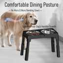 Elevated Dog Bowls Large Breed Raised Dogs Bowl Stand Large/Medium Sized Dog Stainless Steel Food Water Bowl Stands 5 Heights Adjustable 9/11/12/14in Black Pet Feeder Dish Station