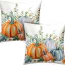 Fall Orange Blue Pumpkin Throw Pillow Covers 18x18 Set of 2 Autumn Eucalyptus Maple Leaves Pillow Cases Thanksgiving Harvest Farmhouse Outdoor Cushion Covers for Sofa Home Bed Living Room