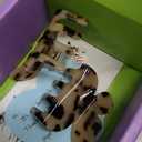 Butterfly Hair Clips Hair Claw Butterfly Tortoise Shell Jaw Clips 2.3 inch Beautiful Hair Accessories for Girls and Women. (3 pack) (3 New color)