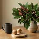 4 Pcs Magnolia Artificial Leaves Branches 22 Inch 3D Real Touch Faux Magnolia Stems Fake Magnolia Twigs for Indoor Outdoor Vase Filling Home Wedding Floral Arrangement Decoration