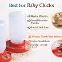 Baby Chick Feeder, Waste Free Chicken Feeder Jar, Duckling Feeder for Pigeon, Birds & Small Flock Feeding, 1 Quart Poultry Feeder with 8 Feeding Holes.