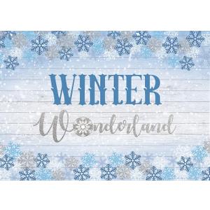 7x5FT Winter Wonderland Backdrop Winter Wonderland Scene Party Decorations F226